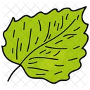 Feuille De Tilleul Feuille Feuillage Icon