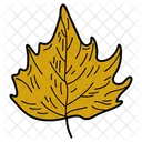 Feuille Derable Feuille Feuillage Icon