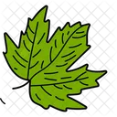 Feuille Derable Feuille Feuillage Icon