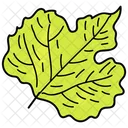 Feuille Derable Feuille Feuillage Icon