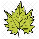 Feuille Derable Feuille Feuillage Icon