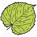 Feuille Festonnee Feuille Feuillage Icon