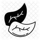 Feuille Icon