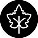 Feuille  Icône