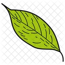 Feuille Jaunatre Feuille Feuillage Icon