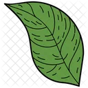 Feuille Ovale Feuille Feuillage Icon