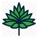 Feuille Feuilles Feuilles Tropicales Icon