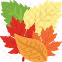Feuilles d'automne  Icône