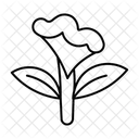  Icône