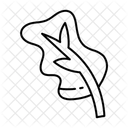  Icône