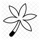  Icône