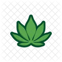 Feuilles De Manioc Vert Arbre Icon