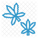 Feuilles De Marijuana Icône