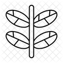  Icône