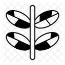  Icône