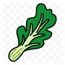 Legume Sain Feuillu Icône