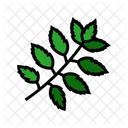 Neem Feuilles Ayurvedique Icône