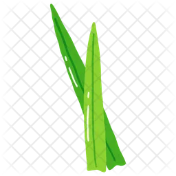 Feuilles de pandan  Icône