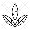  Icône