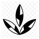  Icône