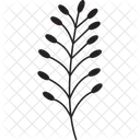 Feuilles Et Branches Branches De Feuilles Verdure Icon