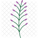 Feuilles Et Branches Branches De Feuilles Verdure Icon