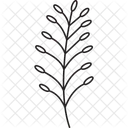 Feuilles Et Branches Branches De Feuilles Verdure Icon
