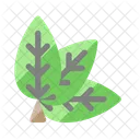 Feuilles  Icône