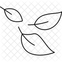 Feuilles  Icône