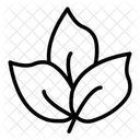 Fiber Icon