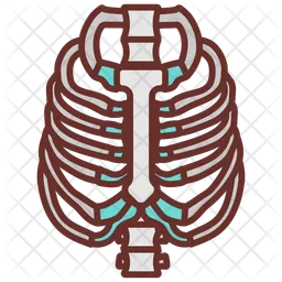 Fibia  Icon
