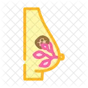 Fibrocystic Breasts Woman Icon