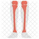 Fibula Leg Bone Calf Bone Icon