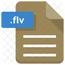 Flv Fichier Document Icône