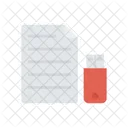 Donnees Flash USB Icon