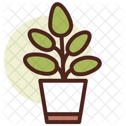 Ficus  Icon