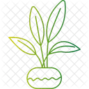 Plante Ficus Plante Dinterieur Plante Ornementale Icon