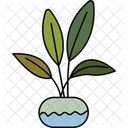 Ficus Plant Indoor Plant Ornamental Plant Icon