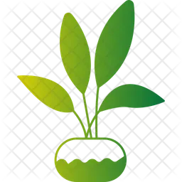 Ficus Plant  Icon