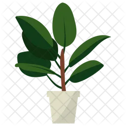 Ficus Potted Plant  Icon