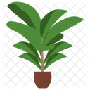 Fiddle Leaf  Fig  Icon