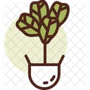 Leaf Fig Icon