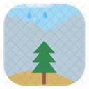 Field Fir Tree Icon
