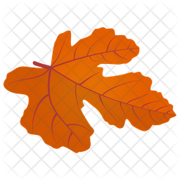 Field Maple Icon