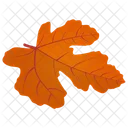 Field Maple Maple Leaf Autumn Leaf Icon