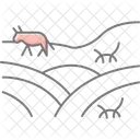 Field With Animals Field Animals Icon