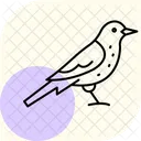 Fieldfare Bird Thrush Icon