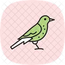Fieldfare Bird Thrush Icon