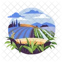 Fields Icon