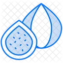 Fig  Icon